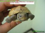 ڹ꣬ͼƬԴwww.350xue.com