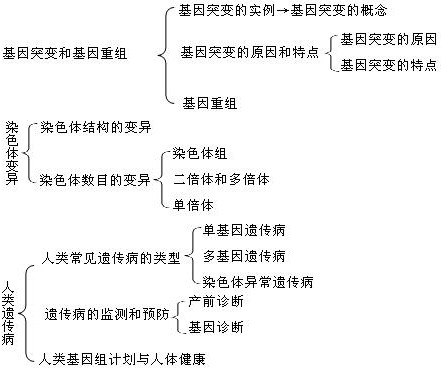 高二生物基因突变及其他变异教材分析