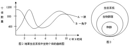 高中生物论文:浅谈高中生物教学中如何进行跨学科综合
