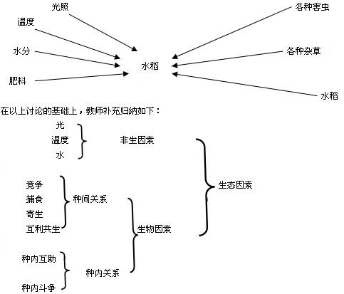 高中生物论文:合作学习在高中生物教学中的实践和思考