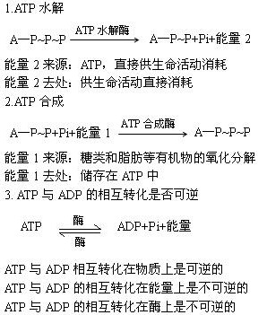 高一生物新陈代谢与ATP教学设计