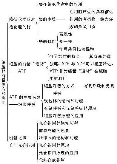 高一生物细胞的能量供应和利用教材分析