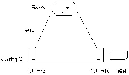 初中物理磁场中的电化学反应实验报告