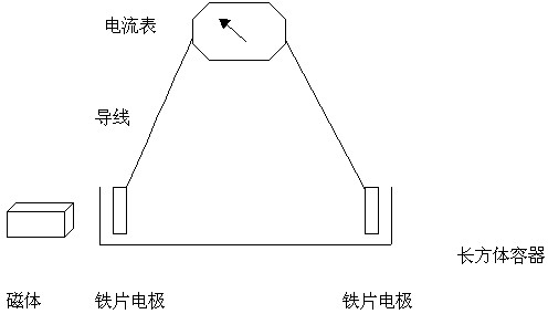初中物理磁场中的电化学反应实验报告
